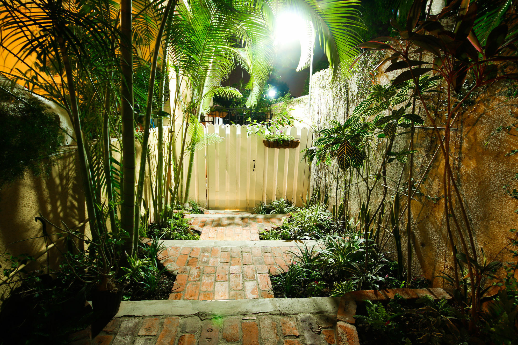 Cattleya Luxury Suites Kingston Exterior photo